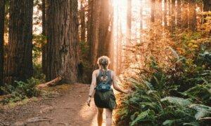Nature’s Therapy: A Prescription for Time Outdoors